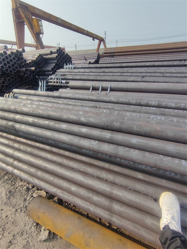 IMG_20230401_154008.jpg IMG_20230401_154008.jpg